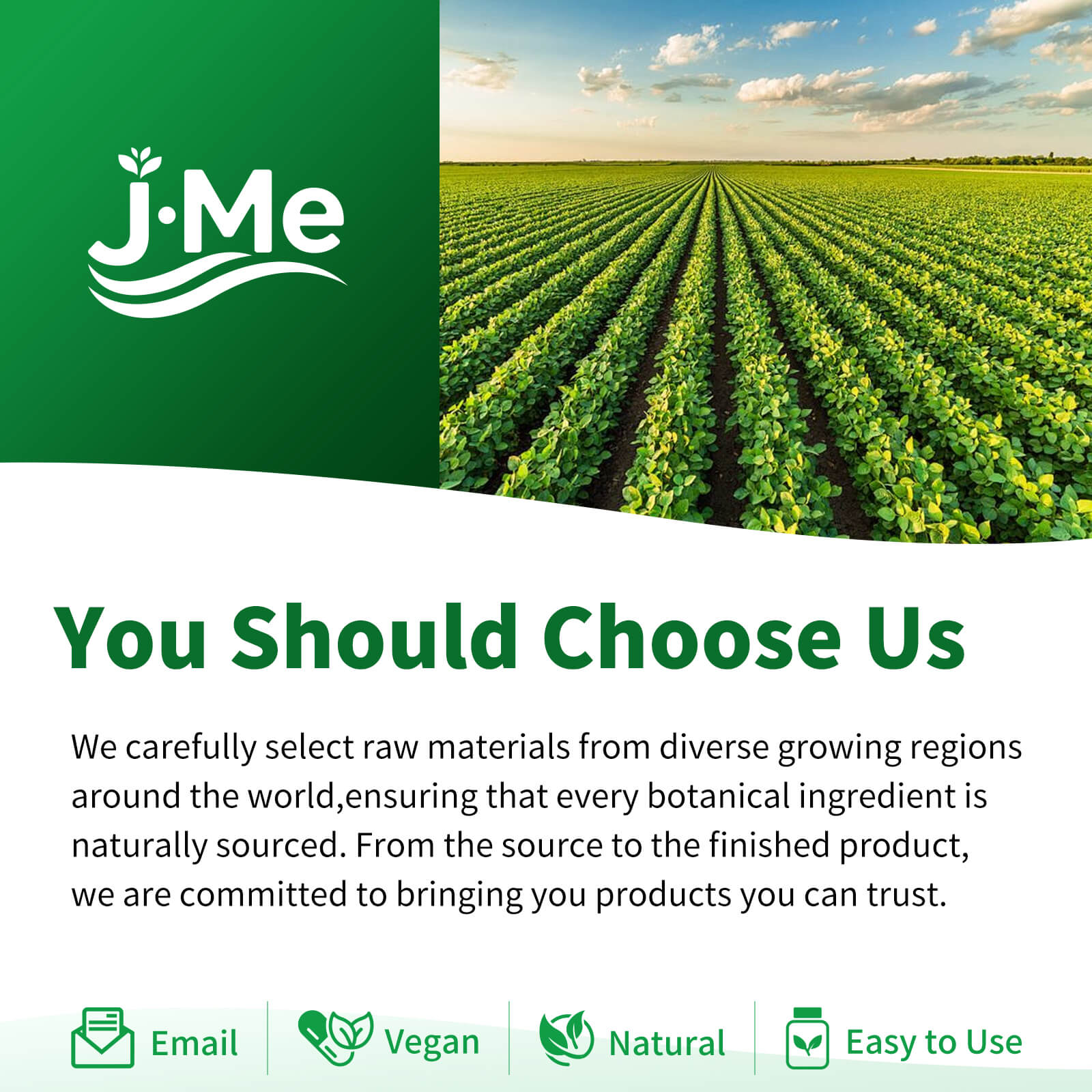 Oil of Oregano with Black Seed Oil, 4-in-1 Oregano Oil Capsules Organic with Vitamin C & Zinc, Non-GMO, Carvacrol & Thymoquinone Rich, 300 Softgels, 2 Packs